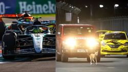 Stray Dog Interrupts Formula 4 Practice Session In Chennai 