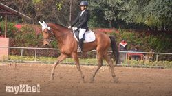 Equestrian Bhoowan Arshad Bag Gold Jnec 2024 Concludes Highest Ever Turnout 