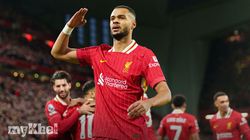 Liverpool Vs Leicester Preview Gakpo Comments 