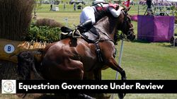 Equestrian Under Scrutiny Delhi Hc Forms Panel To Address Governance Issues