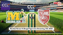 Mumbai Heroes Vs Bengal Tigers Live Streaming Ccl 2025 How To Watch Celebrity Cricket League Live Telecast On Tv And Online