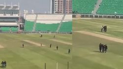 Champions Trophy 2025 Pcb Conducts Drill To Catch Intruding Fans In Stadium Video Goes Viral Wat