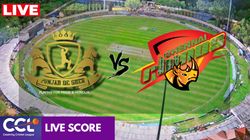 Ccl 2025 Final Live Score Punjab De Sher Vs Chennai Rhinos Live Updates From Mysuru