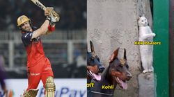 Ipl 2025 Phil Salt Rubs Salt On Kkr Rcb Stars Explosive Innings Sparks Meme Fest On X