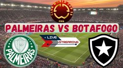 Palmeiras Vs Botafogo Live Streaming Where To Watch Todays Club World Cup Match On Tv And Online