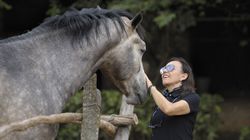 The Invisible Rein How Equestrian Pressure Shapes Horse Behaviour