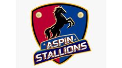 Aspin Stallions Commitment To Icc Anti Corruption 