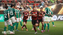 Flamengo 1 0 Palmeiras Copa Libertadores Triumph 