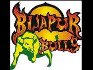 ಕೆಪಿಎಲ್ 2015: ಶಿವಮೊಗ್ಗ ವಿರುದ್ಧ ಬಿಜಾಪುರಕ್ಕೆ ರೋಚಕ ಜಯ