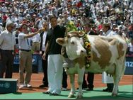 'ಹಸು ಪ್ರಿಯ' ಫೆಡರರ್ ಬಗ್ಗೆ ಸೆಹ್ವಾಗ್ ಟ್ವೀಟ್