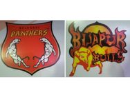 ಕೆಪಿಎಲ್: ಇಂದು ಬಿಜಾಪುರ ಬುಲ್ಸ್-ಬೆಳಗಾವಿ ಪ್ಯಾಂಥರ್ಸ್ ಫೈನಲ್ ಹಣಾಹಣಿ