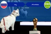 ಬೆಕ್ಕು ಭವಿಷ್ಯ : ವಿಶ್ವಕಪ್ ಉದ್ಘಾಟನಾ ಪಂದ್ಯದಲ್ಲಿ ರಷ್ಯಾಕ್ಕೆ ಜಯ