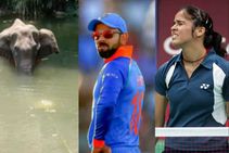 ಗರ್ಭಿಣಿ ಆನೆ ಸಾವಿಗೆ ಕೊಹ್ಲಿ, ಸೈನಾ, ಛೆಟ್ರಿ, ಯಾದವ್ ಭಾವನಾತ್ಮಕ ಪ್ರತಿಕ್ರಿಯೆ