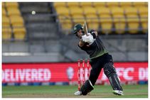 ಕಡೆಗೂ ಆರ್‌ಸಿಬಿ ದಾಂಡಿಗನಿಂದ ಬಂತು ಸ್ಪೋಟಕ ಆಟ: ಕಿವೀಸ್ ವಿರುದ್ಧ ಆಸಿಸ್‌ಗೆ ಭರ್ಜರಿ ಗೆಲುವು