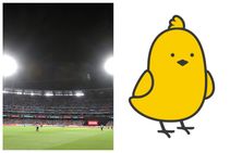 ಟಿ20 ವಿಶ್ವಕಪ್ ವೇಳೆ ಕ್ರಿಕೆಟ್ ಪ್ರೇಮಿಗಳಿಗೆ ವಿಶೇಷ ವೇದಿಕೆ ಒದಗಿಸಲಿದೆ 'ಕೂ ಕ್ರಿಯೇಟರ್ ಕಪ್'