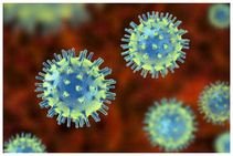 ಬ್ಯಾಡ್ಮಿಂಟನ್ ಟೂರ್ನಮೆಂಟ್‌ನಿಂದ 27 ಮಂದಿಗೆ ಕೊರೊನಾ: ಬೆಂಗಳೂರಿಗೆ ಮತ್ತೊಮ್ಮೆ ಕೋವಿಡ್ ಆತಂಕ