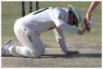 ಸುತ್ತಿಗೆಯಿಂದ ಪಿಚ್‌ ರೆಡಿ ಮಾಡಿದ ಡೇವಿಡ್ ವಾರ್ನರ್: ಮನೆಸುತ್ತ ಸ್ವಲ್ಪ ಕೆಲಸಮಾಡಿ ಎಂದ ವಾರ್ನರ್ ಪತ್ನಿ