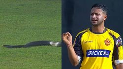 LPL 2023: ಲಂಕಾ ಪ್ರೀಮಿಯರ್ ಲೀಗ್ ವೀಕ್ಷಿಸಲು ಬಂದ ಅನಿರೀಕ್ಷಿತ ಪ್ರೇಕ್ಷಕ; ಪಂದ್ಯ ಕೆಲಕಾಲ ಸ್ಥಗಿತ