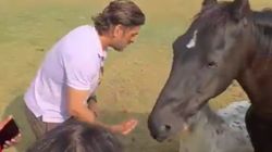 ಸಾಮಾಜಿಕ ತಾಣದಲ್ಲಿ ಸಖತ್ ಸದ್ದು ಮಾಡುತ್ತಿದೆ ಕುದುರೆ ಜೊತೆಗೆ ಧೋನಿಯ ವೈರಲ್ ವಿಡಿಯೋ