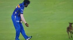 MI vs GT ಪಂದ್ಯದ ವೇಳೆ ನಾಯಿ ಆಕ್ರಮಣ; 'ಹಾರ್ದಿಕ್, ಹಾರ್ದಿಕ್' ಎಂದು ಕೂಗಿದ ಗಣ!; ವಿಡಿಯೋ ವೈರಲ್