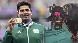 ಚಿನ್ನದ ಸಾಧಕ ಅರ್ಷದ್‌ ನದೀಮ್‌ಗೆ ಮಾವ ಎಮ್ಮೆ ನೀಡಿದ್ದು ಏಕೆ? ಉಳಿದವರು ನೀಡಿದ್ದೇನು?