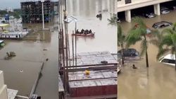 Gujarat floods: ಪ್ರವಾಹದಿಂದ ಪಾರಾದ ಭಾರತದ ಮಹಿಳಾ ಸ್ಟಾರ್ ಬೌಲರ್; ಎನ್‌ಡಿಆರ್‌ಎಫ್ ಕಾರ್ಯಾಚರಣೆ