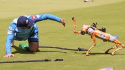 AI ನಾಯಿಯಿಂದ ಕೋರ್ಟ್‌ ಮೆಟ್ಟಿಲು ಏರಲಿದೆ BCCI: ಕಾರಣವೇನು?