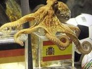 പ്രവാചകന്‍ നീരാളി പോളിന് വധഭീഷണി