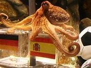 ഫൈനലും തീര്‍ന്നു; തോല്‍വിയറിയാതെ പോള്‍ നീരാളി