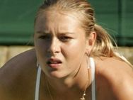 ഷറപ്പോവ ക്വാര്‍ട്ടറില്‍