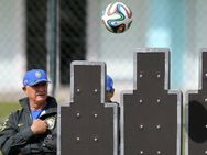 സ്‌കൊളാരിയെ ബ്രസീല്‍ പുറത്താക്കി