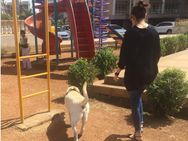 കോലിയില്ല; 'ഡ്യൂഡ്' നൊപ്പം 'വിലപ്പെട്ട സമയം' ചെലവഴിച്ച് അനുഷ്‌ക ശര്‍മ!