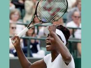 വിമ്പിള്‍ഡണ്‍... സെമിയില്‍ സെറീനയും വീനസും, സാനിയ പുറത്ത്