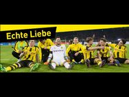 ജര്‍മനിയില്‍ ബയേണ്‍ മ്യൂണിക്കിന് കാലിടറി, ലൈപ്ഷിസ് കുതിക്കുന്നു, ബൊറൂസിയ കയറി വരുന്നു