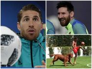 ആ നായ ഹള്‍ക്കല്ല, സാക്ഷാല്‍ റാമോസ്!! മെസ്സിക്കു മുന്നില്‍ വലഞ്ഞ നായയെ ട്രോളി ബാഴ്‌സ ഫാന്‍സ്...