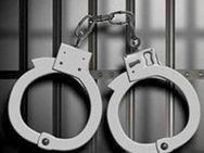 പുരുഷ വേഷത്തില്‍ ഫുട്‌ബോള്‍ കളി കാണാനെത്തിയ ഇറാനിയന്‍ സുന്ദരിയെ പോലീസ് പിടികൂടി