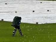 പാകിസ്താന്‍ – ശ്രീലങ്ക ആദ്യ ഏകദിനം മഴയില്‍ ഒലിച്ചു, പിന്നാലെ രസികന്‍ ട്വീറ്റുമായി ഐസിസി