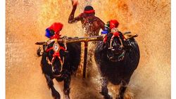 കാളയോട്ടത്തില്‍ വീണ്ടും റെക്കോര്‍ഡ്; ഇന്ത്യന്‍ ബോള്‍ട്ടിനെ മറികടന്ന് നിഷാന്ത് ഷെട്ടി