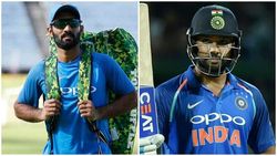 റോള്‍ മോഡല്‍ ദ്രാവിഡ്, രോഹിത് ശര്‍മ 'രാജാവ്'; ആരാധകരോട് പ്രതികരിച്ച് ദിനേഷ് കാര്‍ത്തിക്