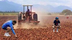 IND vs ENG: ട്രാക്ടര്‍ കൊണ്ട് ഉഴുതുമറിച്ച് പിച്ച്! പരിശോധിച്ച് കോലി- ട്രോളുമായി തൈബു