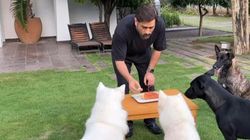 ക്യാപ്റ്റന്‍ കൂളിന് നായകളെ ഇഷ്ടം, ധോണി വീട്ടില്‍ വളര്‍ത്തുന്നത് 5 എണ്ണത്തെ! വില കേട്ടാല്‍ ഞെട്ടും