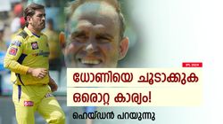 IPL 2024: ധോണി കൂള്‍ തന്നെ, പക്ഷെ ഒരു കാര്യം ദേഷ്യം പിടിപ്പിക്കും! വെളിപ്പെടുത്തി ഹെയ്ഡന്‍