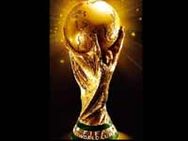 நாளை 19வது உலகக் கோப்பை கால்பந்து திருவிழா தொடக்கம்