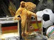 தோற்றது ஜெர்மனி-வென்றது ஆக்டோபஸின் கணிப்பு