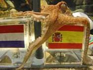 ஸ்பெயின் அணிக்கே உலகக் கோப்பை-கணித்தது ஆக்டோபஸ் பால்