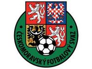 யூரோ கோப்பை கால்பந்து: போலந்து அணியை உள்ளூரில் சாய்த்து காலிறுதிக்குப் போனது செக் குடியரசு