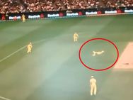 வாவ்.. வாட் ஏ கேட்ச்..! ரசிகர்களை வாய் பிளக்க வைத்த ஆஸி. வீரர் ஸ்மித்!