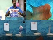 ஆஸ்திரேலியாவை இந்தியா நிச்சயம் வெல்லும்: சாணக்யா ஆருடம் பொய்யா போச்சே!