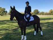 ஆசிய விளையாட்டு : ஈகுவெஸ்டேரியன் விளையாட்டில் இரண்டு வெள்ளி... இந்தியா அபாரம்