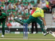 சோத்துலையும் அடி.. சேத்துலையும் அடி.. புலி பொம்மை.. தென்னாப்பிரிக்காவை வைச்சு செய்யும் ரசிகர்கள்!